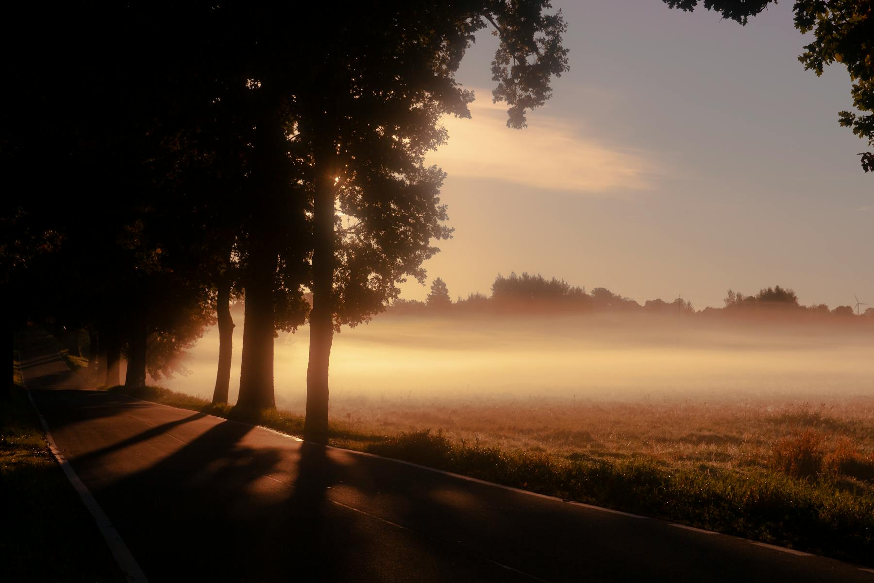 Misty morning light over a rural field at sunrise